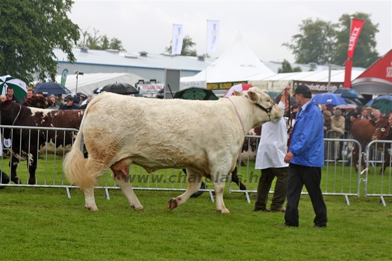WCC Nagy-Britannia 2012 - Helge